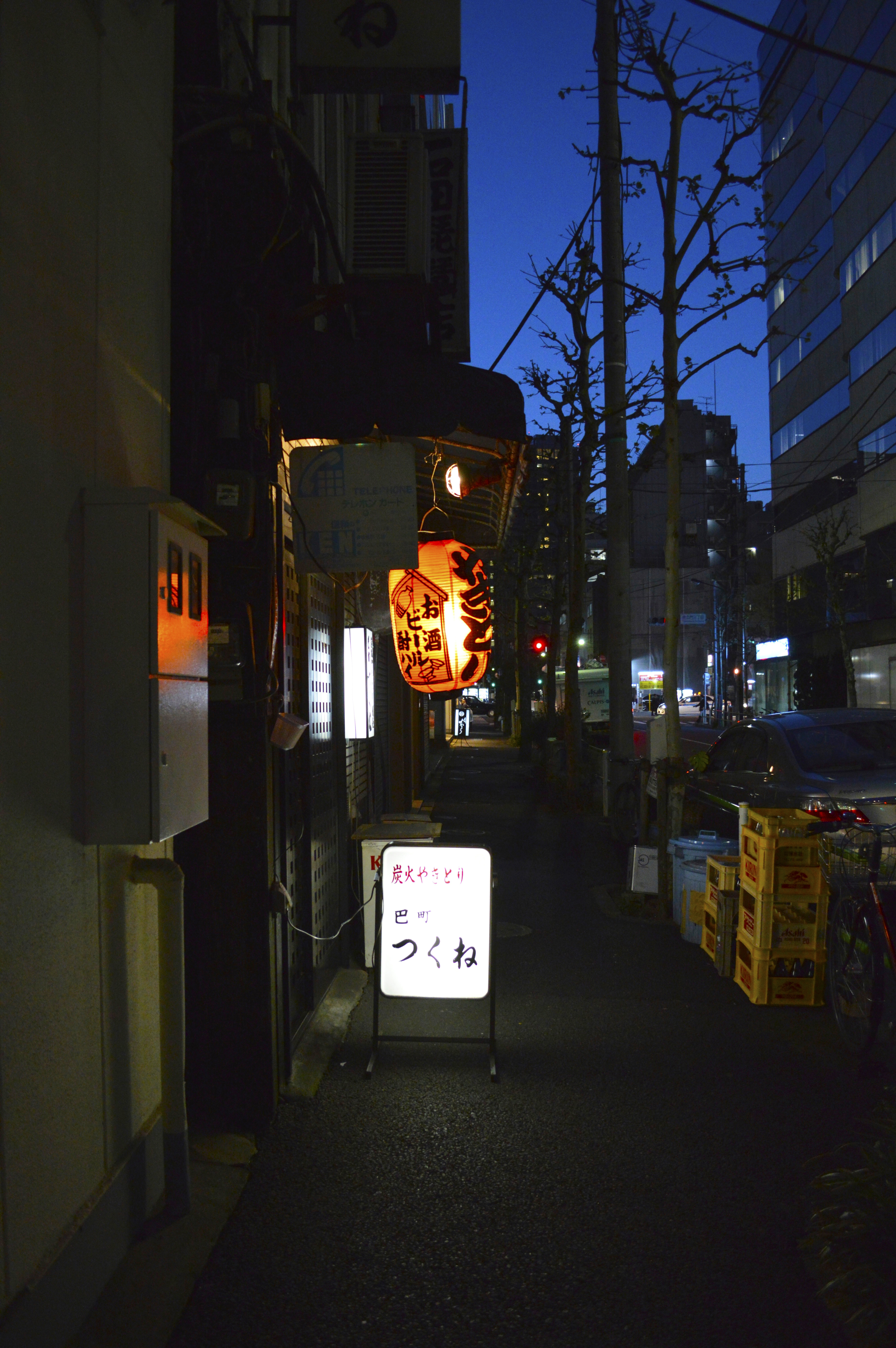 Tokyo Sidewalk