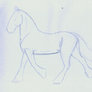 trotting horse sketch