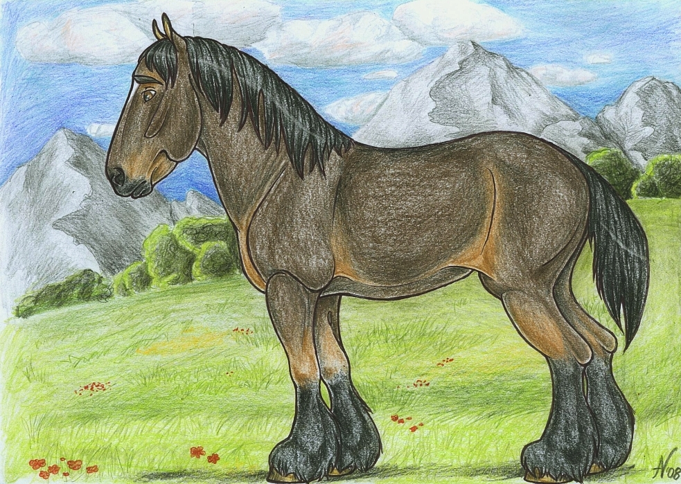 Draft horse