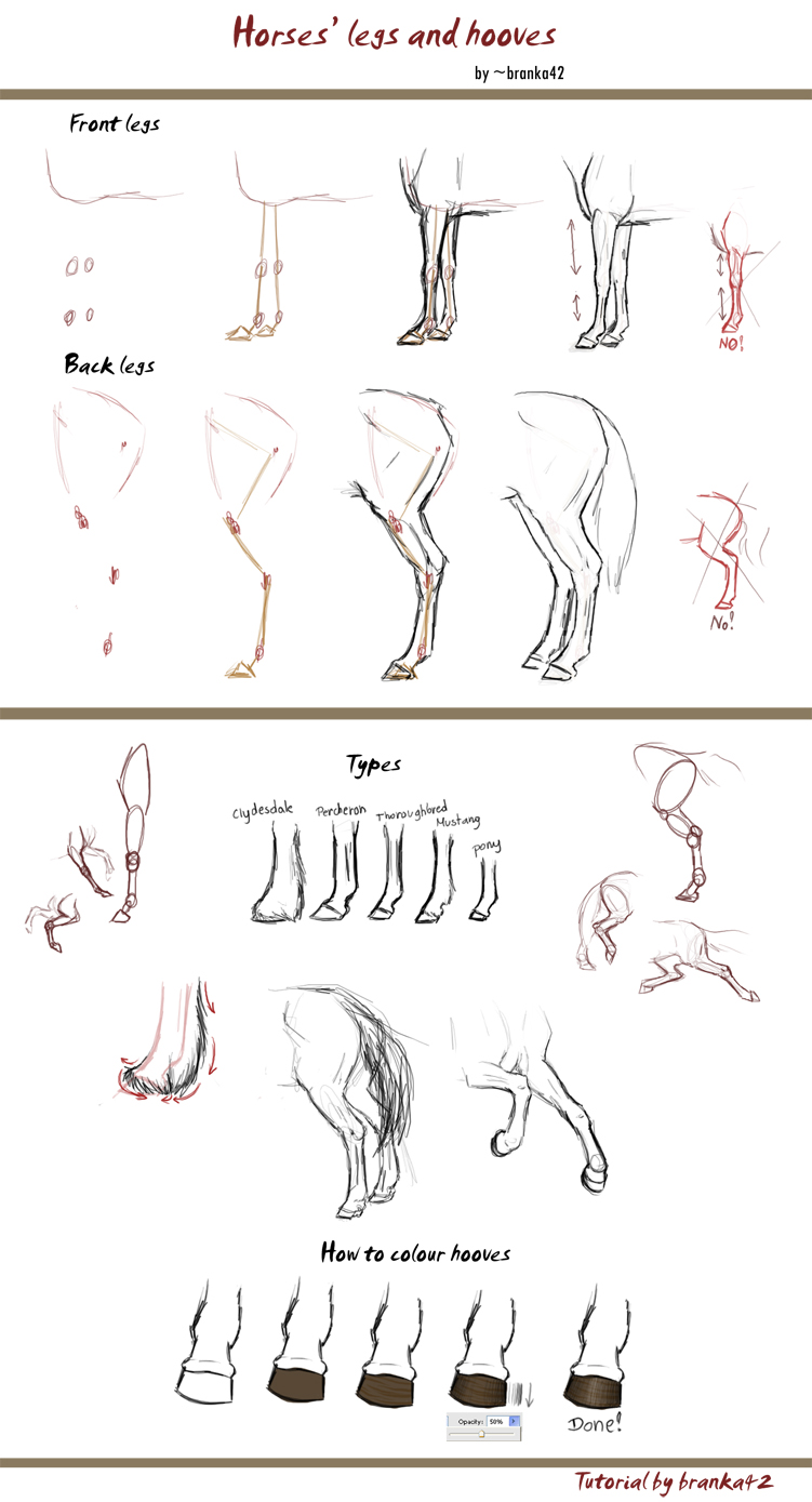 Horses' legs tutorial