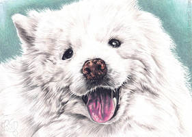 .:+(2025) Fluffy Doggo+:.