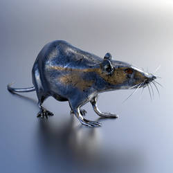 Year of the Metal Rat