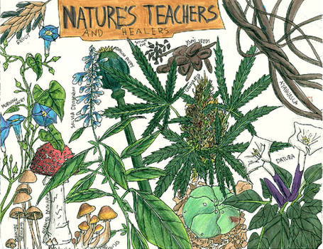 Nature's Teachers and healers