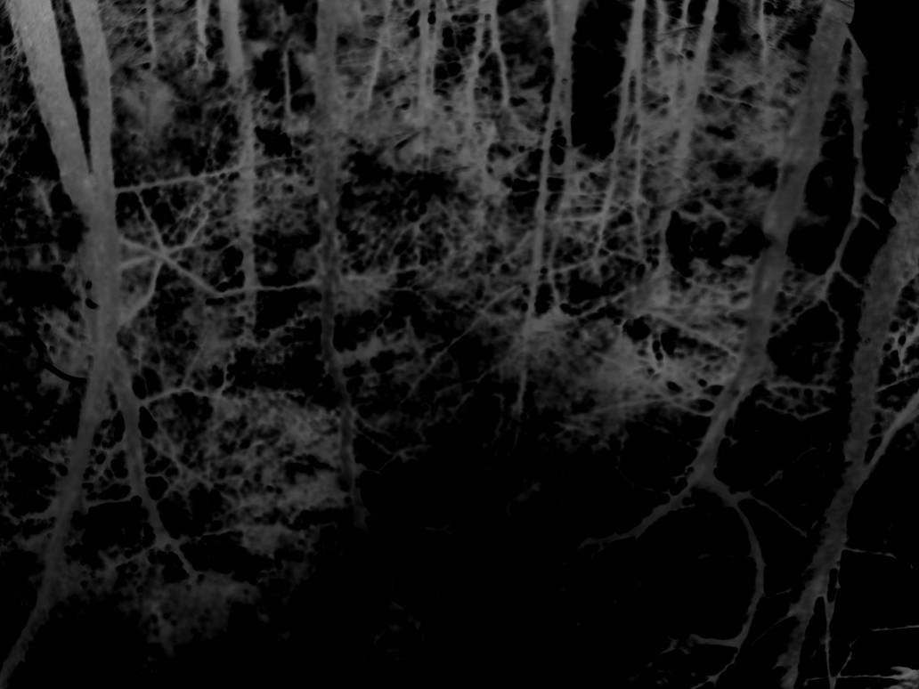 Ritual Part Four The Spell By YaensArt On DeviantArt ritual-part-four-the-spell-by-yaensart-on-deviantart