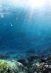 Underwater Stock - Premade Background 2