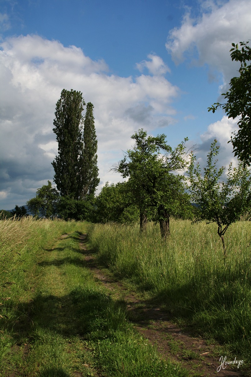 Country Road