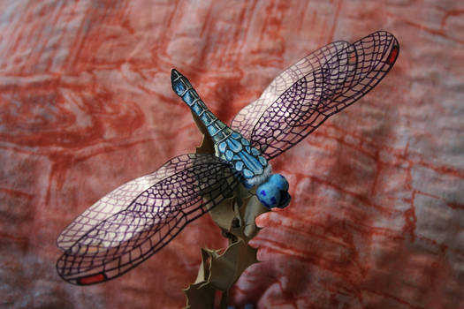 Dragonfly