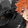 Haikyuu!! - baby crow