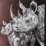 Rhinoceros - Bic Pen