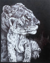 Lioness and Cub- Bic Pen Portrait