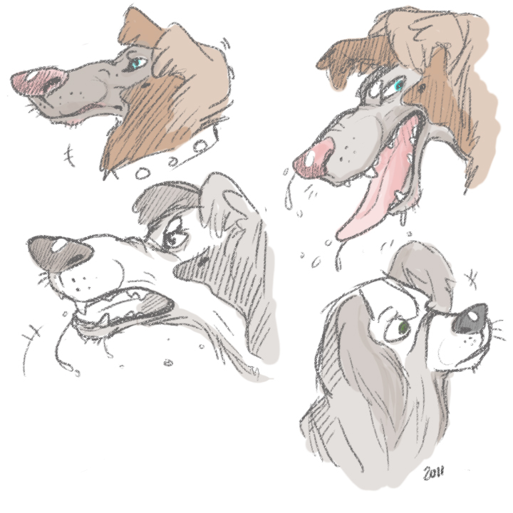 some dogs