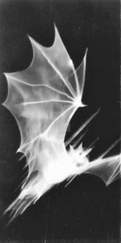 (300 dpi) Phantom Flight