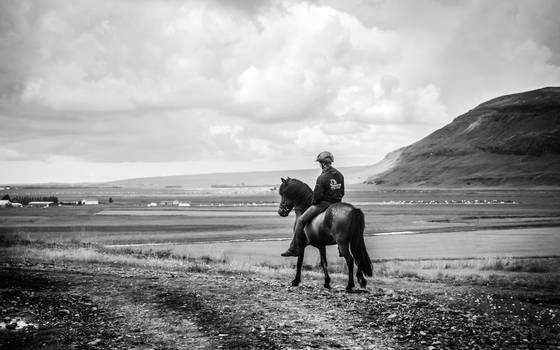 A Girl and her Viking