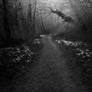 Facing uncertainty