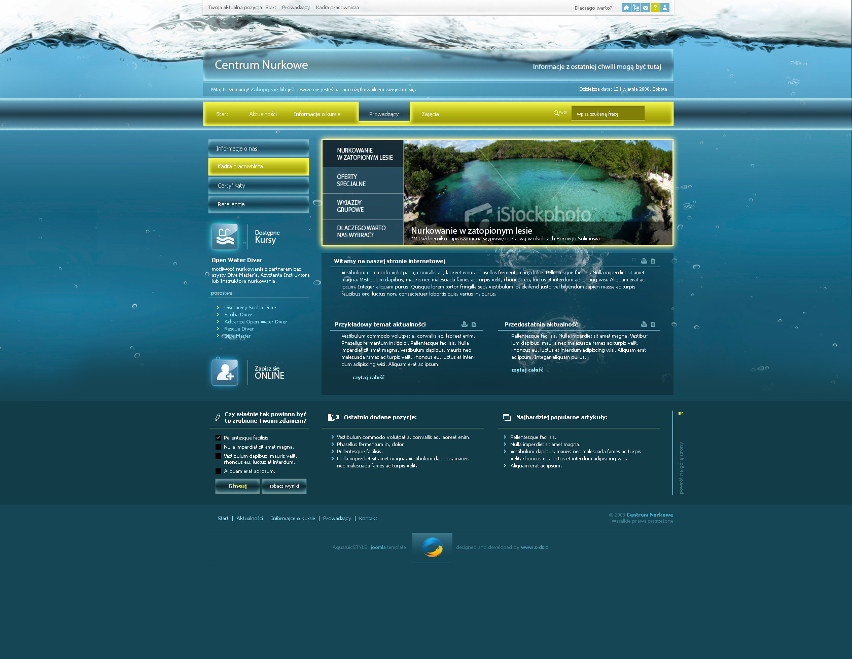 website layout 80