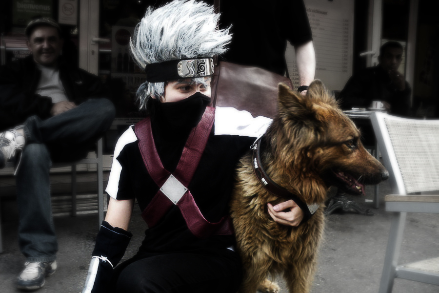 kakashi and ninken