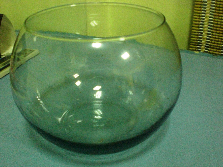 fish bowl 3