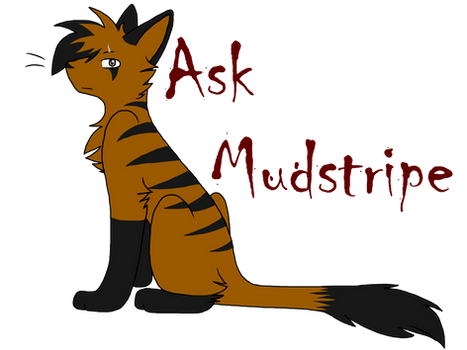 Ask Mudstripe