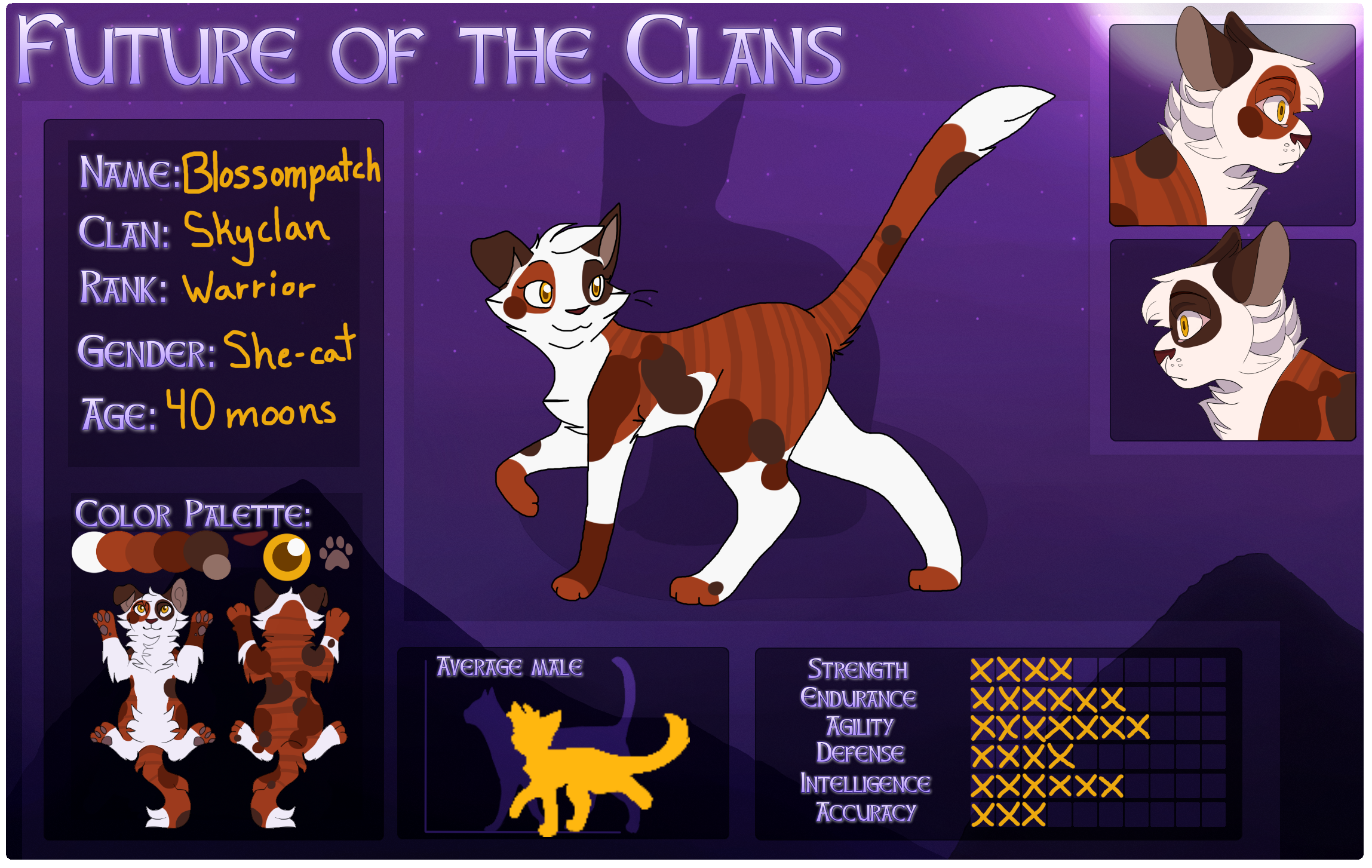 SkyClan & EarthClan, Wiki