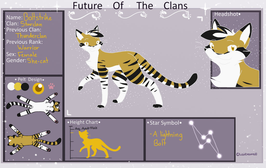 Boltstrike | Starclan Warrior | FOTC