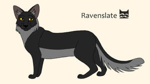 Ravenslate