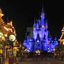 Cinderella Castle Night View
