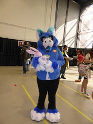 Otafest 2018 Blue Furry