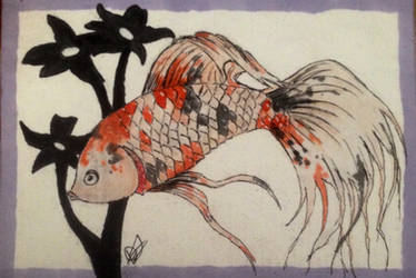 Taisho betta