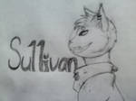 Sullivan Face by Ferry-chan