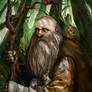 Radagast the Brown - Figures of Middle Earth