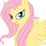 Angry Fluttershy