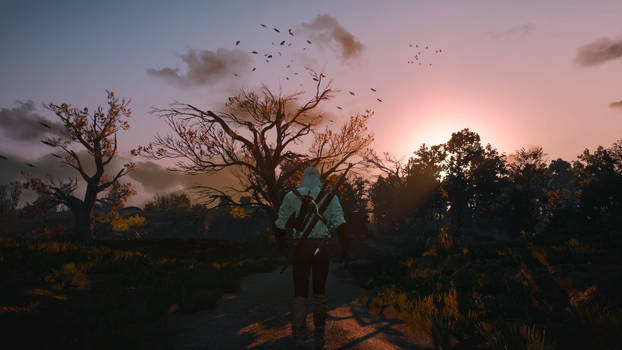 Witcher 3 sunsets