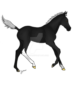 Silver Dapple Fohlen