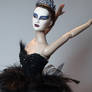 Black Swan Doll Repaint