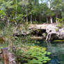 Quad bike tour Mexico