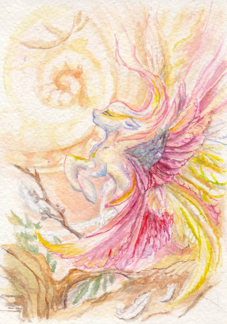 Little Feather by velvetrwings