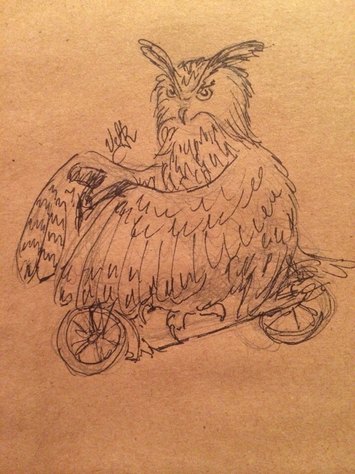 Scooter Owl