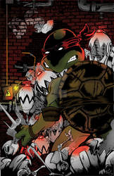 Raphael Vs. Mousers