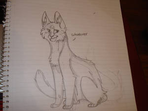 cat sketch