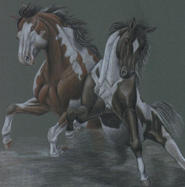 Лошадка 18. Лошадь в перспективе. Лошадь арт 18. Арт лошади Рысь. Лошадь фото рисунок.