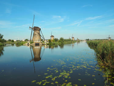 Kinderdijk 