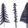 Learning to Draw - Day 84 - Pine Trees