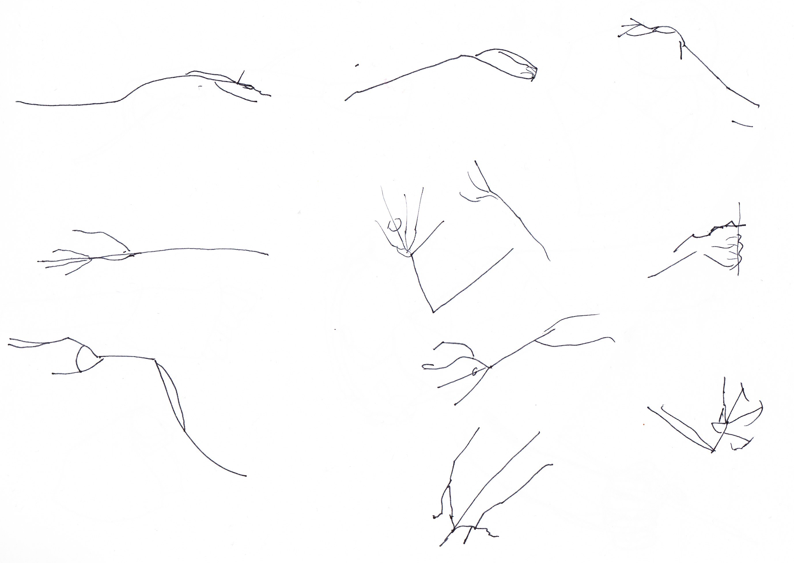30 Second Hands - Day 313 - Learning to Draw