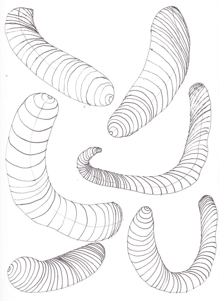 Contours - Day 380 - Learning to Draw by JoshuaMatulin on DeviantArt