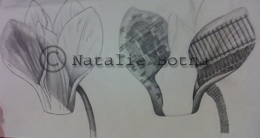 Tonal+Line Flower drawing by nataliebotha on DeviantArt