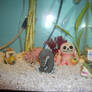 one piece fishman aquarium