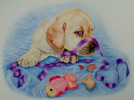 Purple ribbon with puppy~anti animal abuse