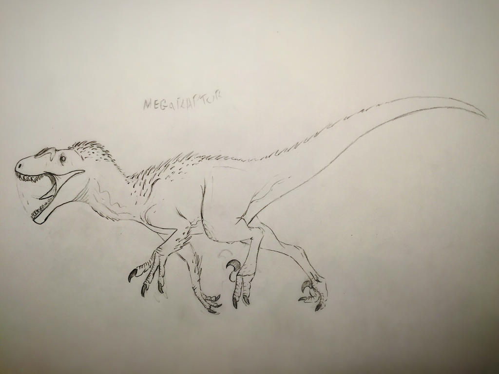 Novaraptor Types Mega Novaraptor by Toarcian on DeviantArt
