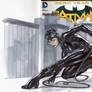 Cat Woman blank cover