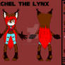 Rachel Reference sheet